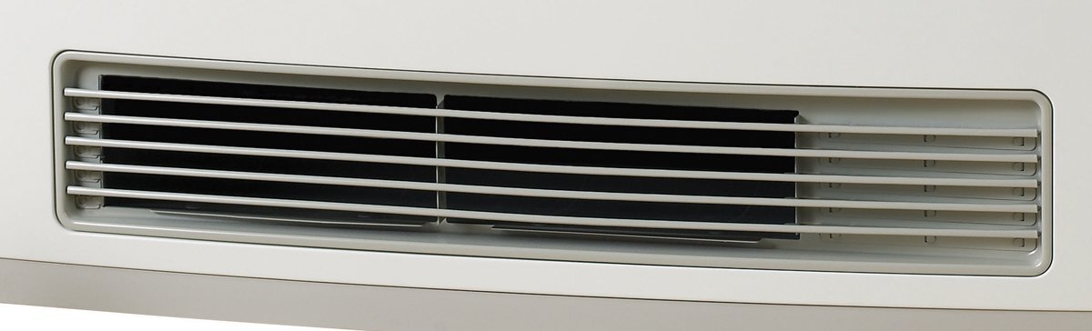 Rinnai Avenger Natural Gas Heater AV25N3