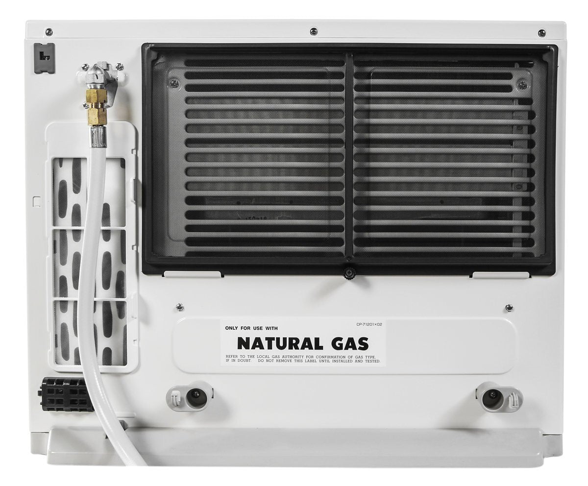 Rinnai Avenger Natural Gas Heater AV25N3