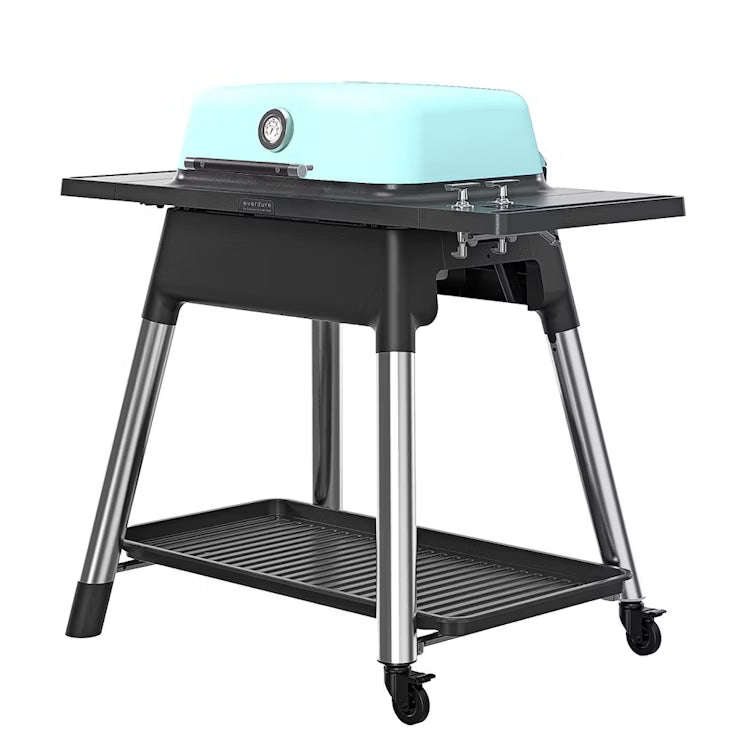 Everdure Force 2 Burner Gas BBQ with Stand Mint E2G1MA
